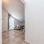 Mimoza * Baška